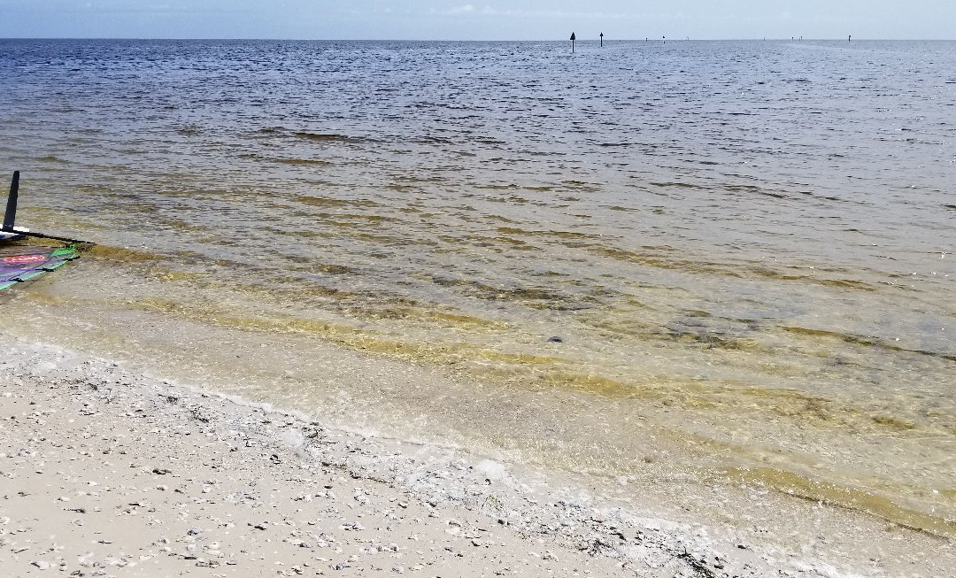 Shell Point Beach-Crawfordville必去景点