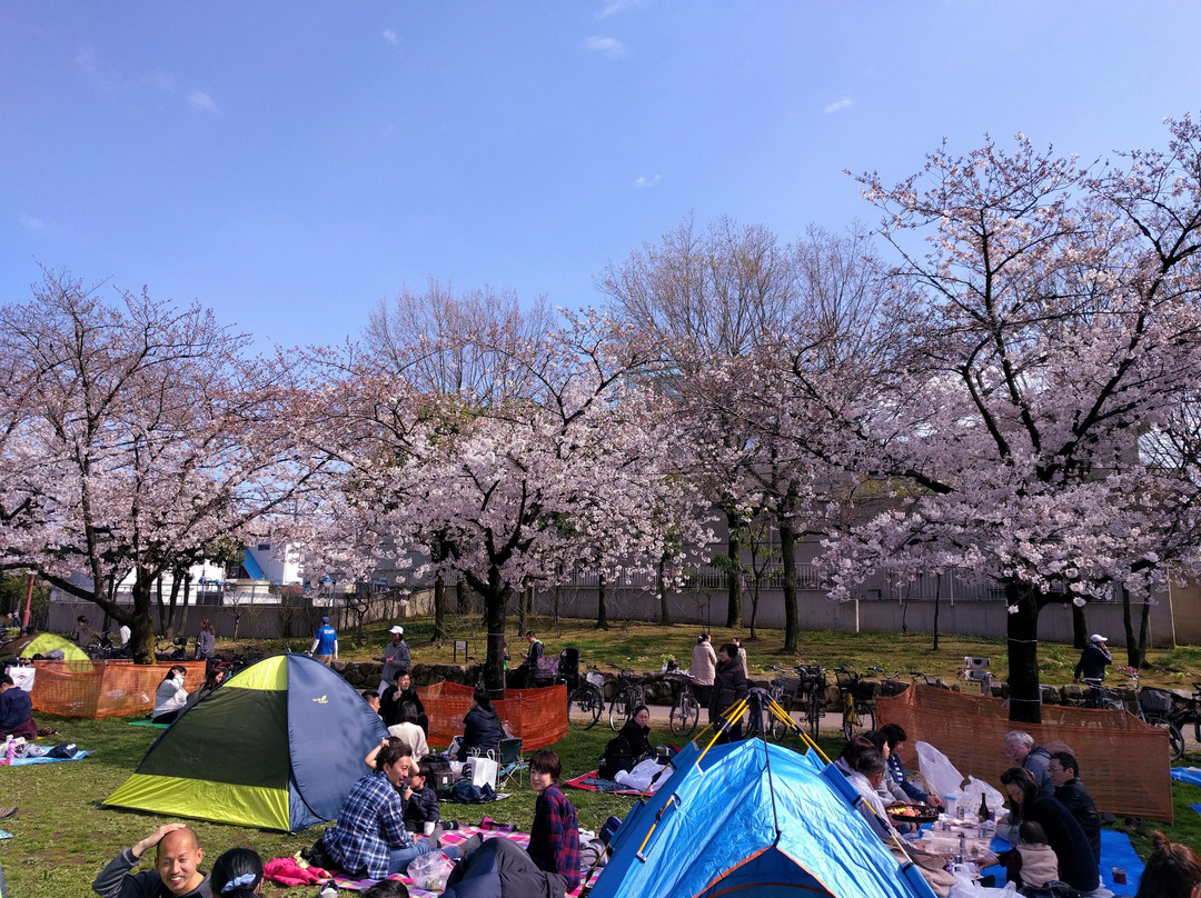 Motofuchi Park-足立区必去景点