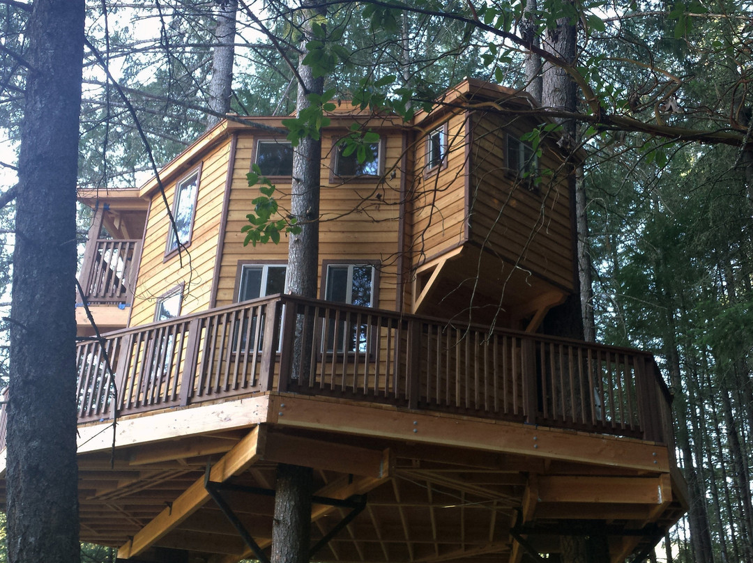 Vertical Horizons Treehouse Paradise主图