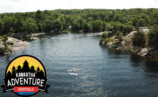 Rentals-North Kawartha必去景点