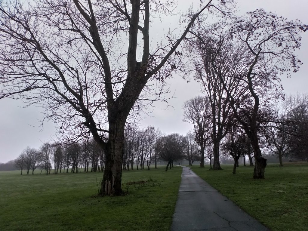 Braunstone Park景点图片