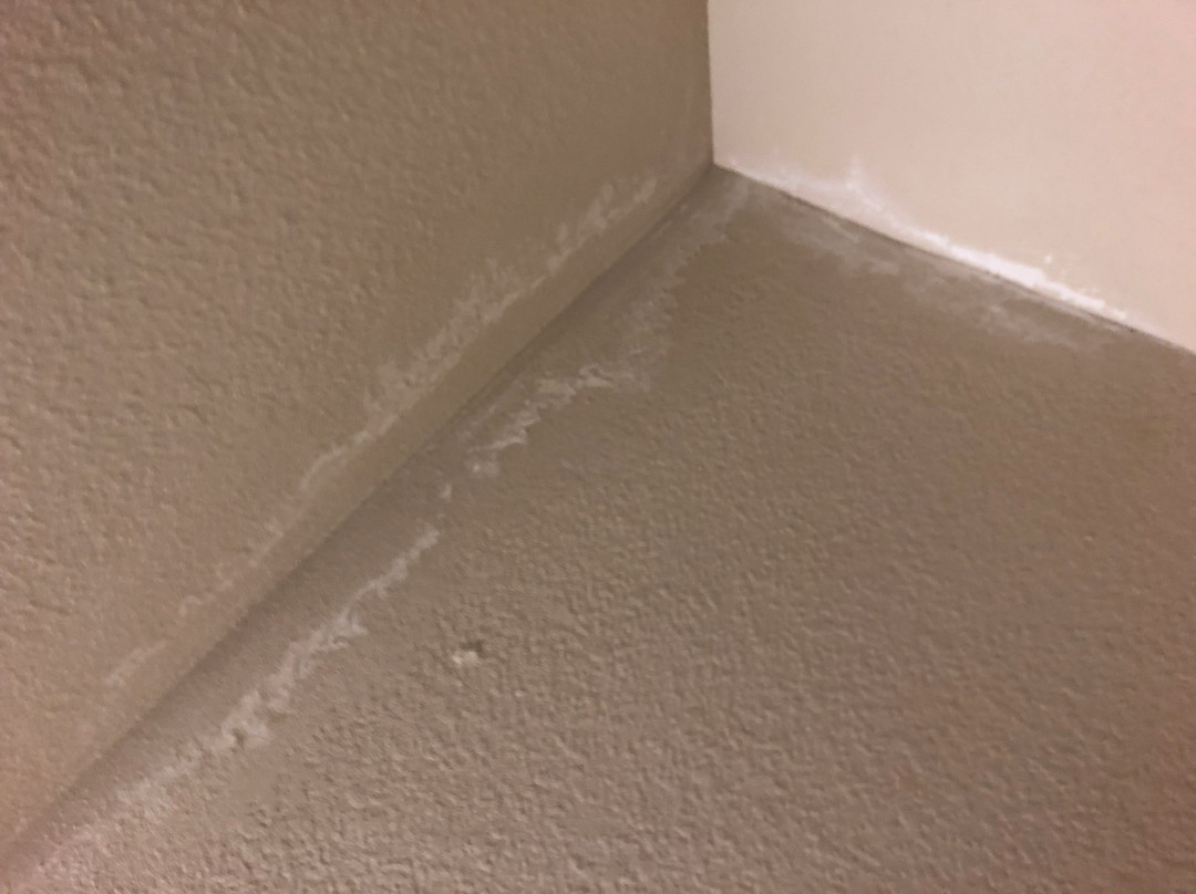 Holiday Inn Express & Suites Sherman Hwy 75 by IHG主图