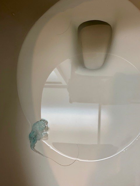 棕榈泉贝斯特韦斯特酒店主图