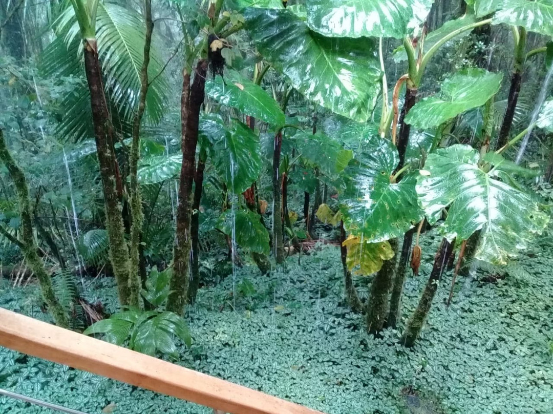 Volcan Ecotours景点图片