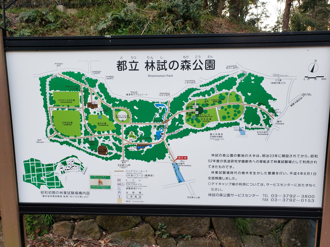 Rinshinomori Park景点图片