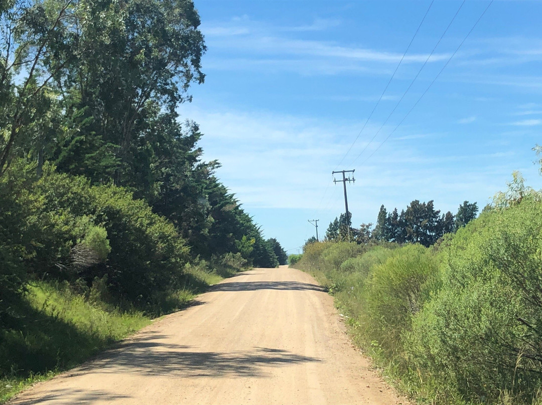 Estancia Renacimiento - Day Tour-Canelones必去景点