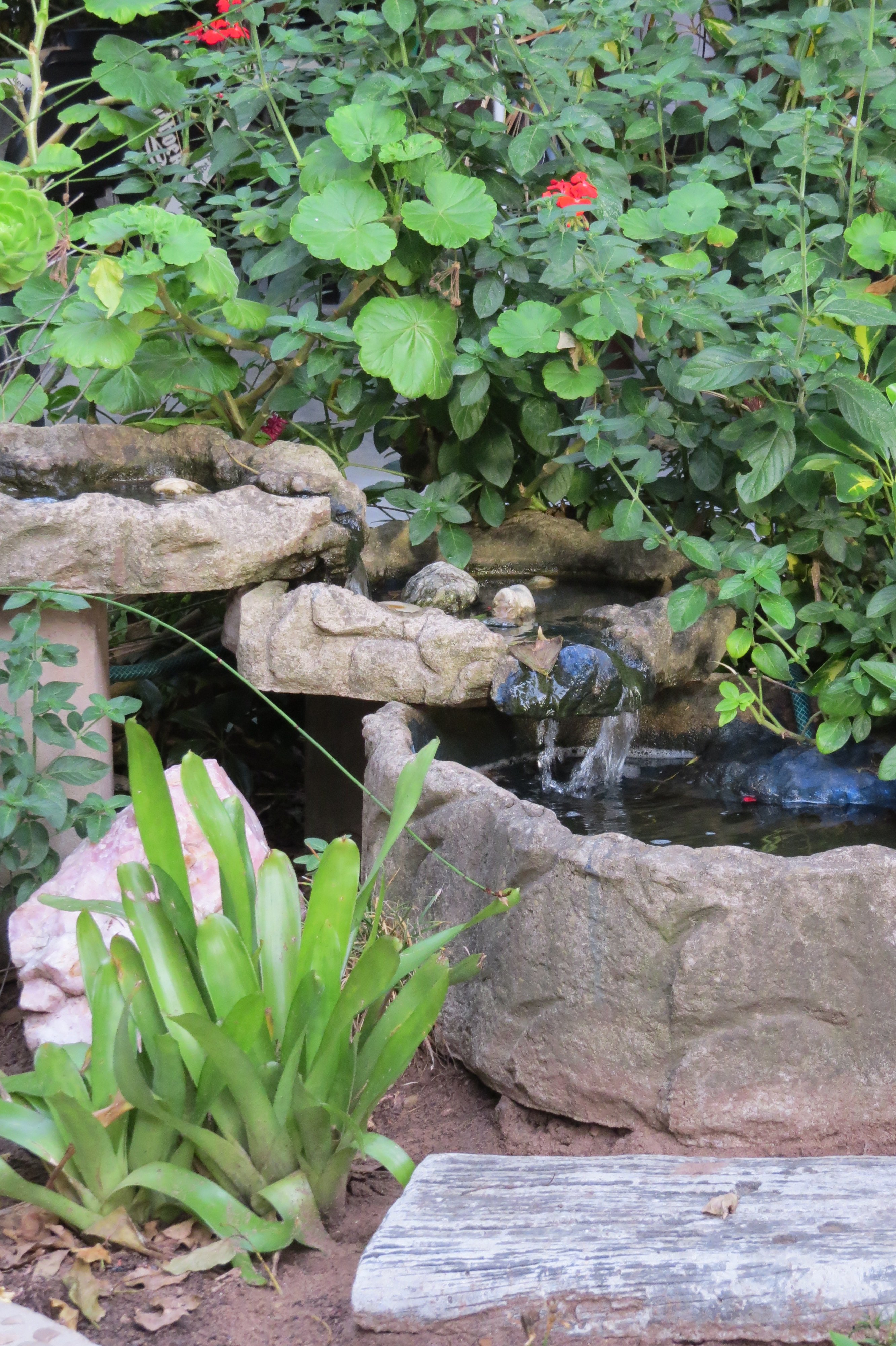 Tiffany's B&B-浴室