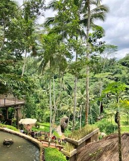 Bali Vacation Transport-乌布必去景点