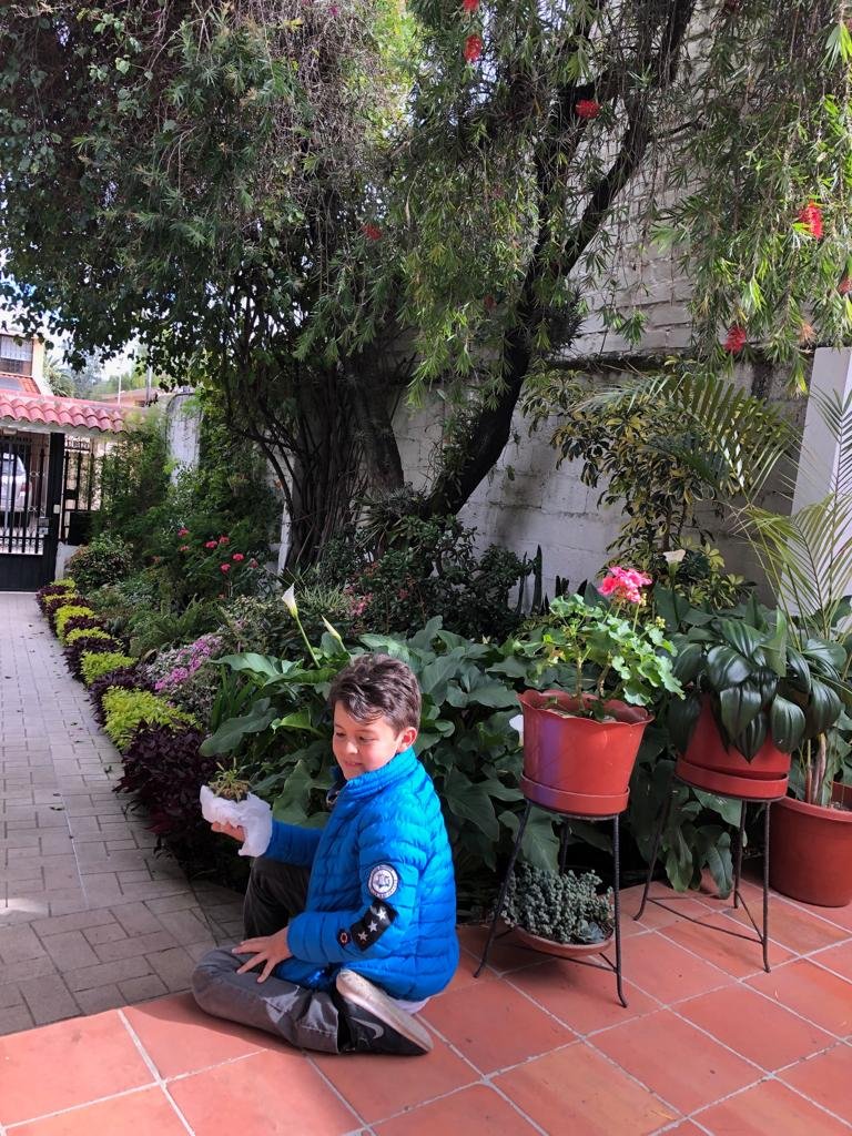 Casa Todosantos-官方