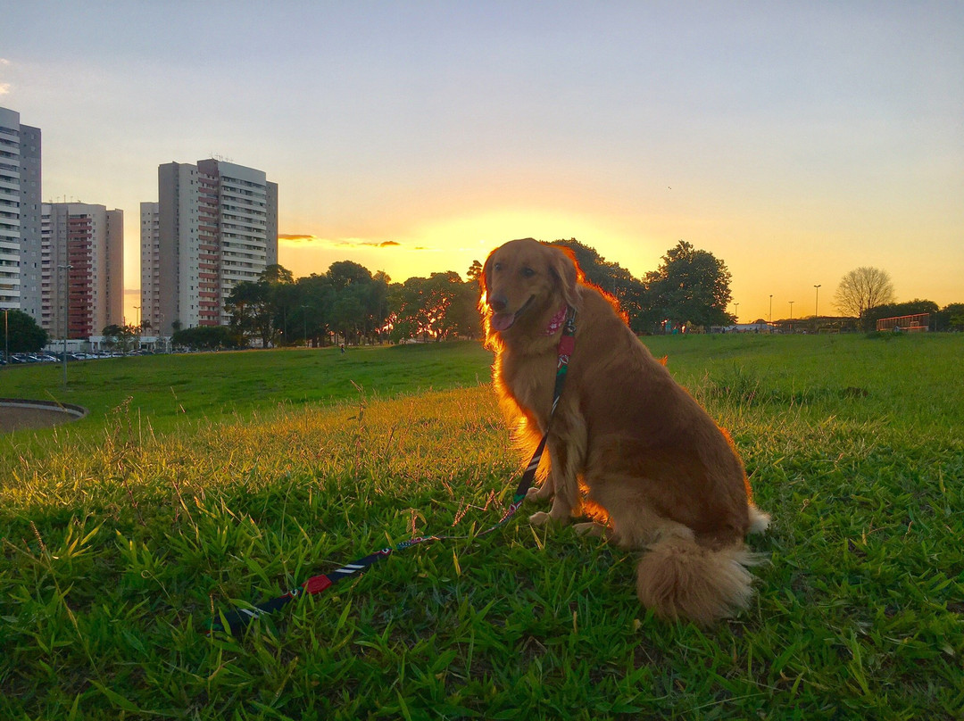 Parque Ecologico do Soter景点图片