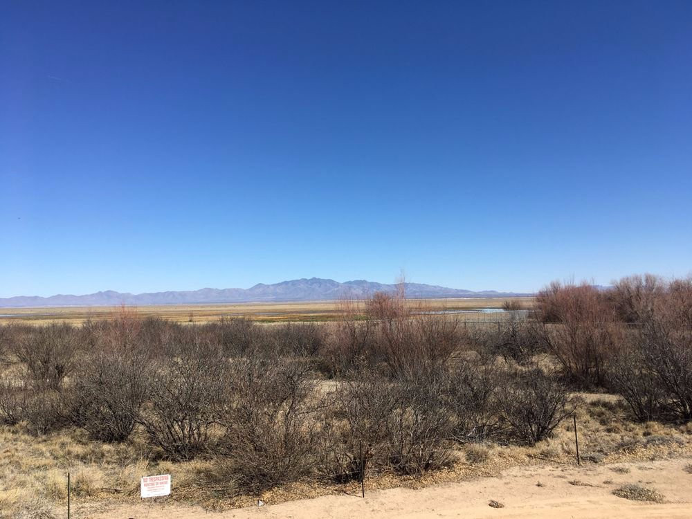 Apache Station Wildlife Viewing Area-Willcox必去景点