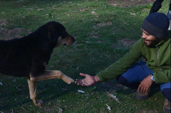 HustleTurtle Adventures-那格浦尔必去景点