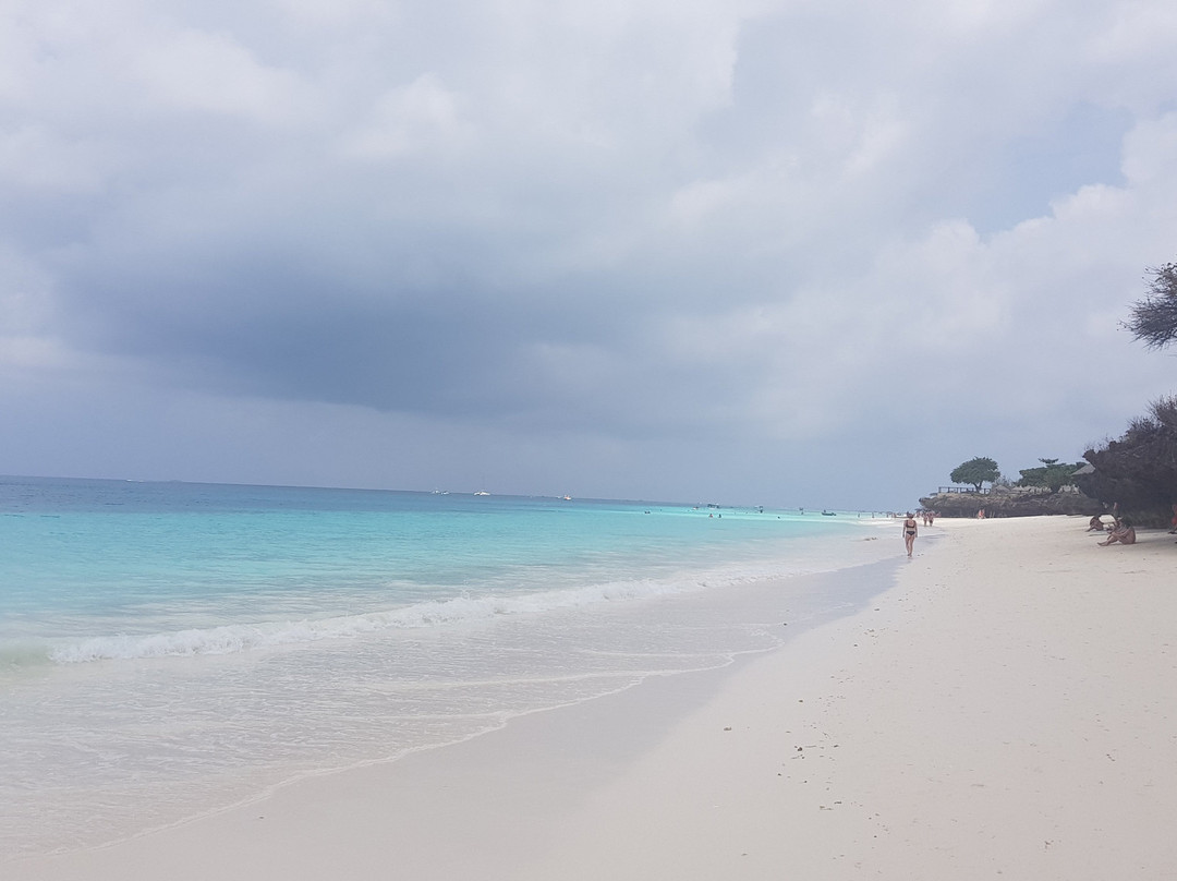 Suley Taxi Driver Zanzibar and Tours-孥归必去景点