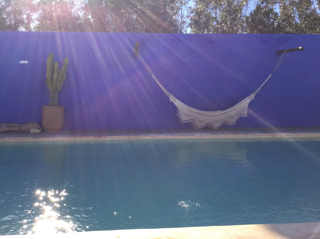 Riad Baoussala主图