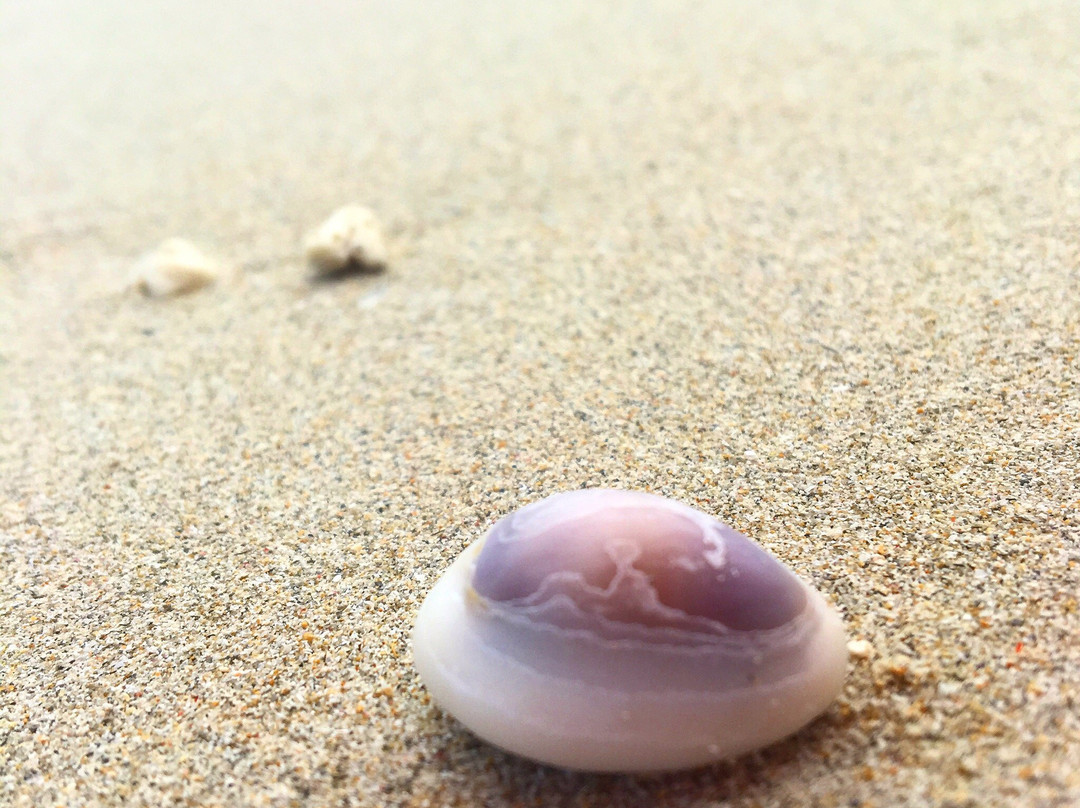 Badaraq Beach-古达必去景点
