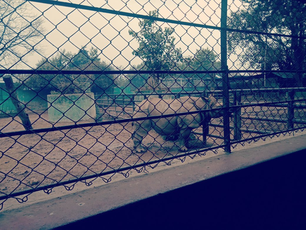 The Central Zoo-帕坦（拉利特浦）必去景点