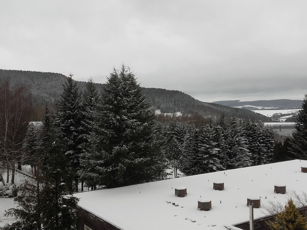 Ferienhotel Markersbach主图