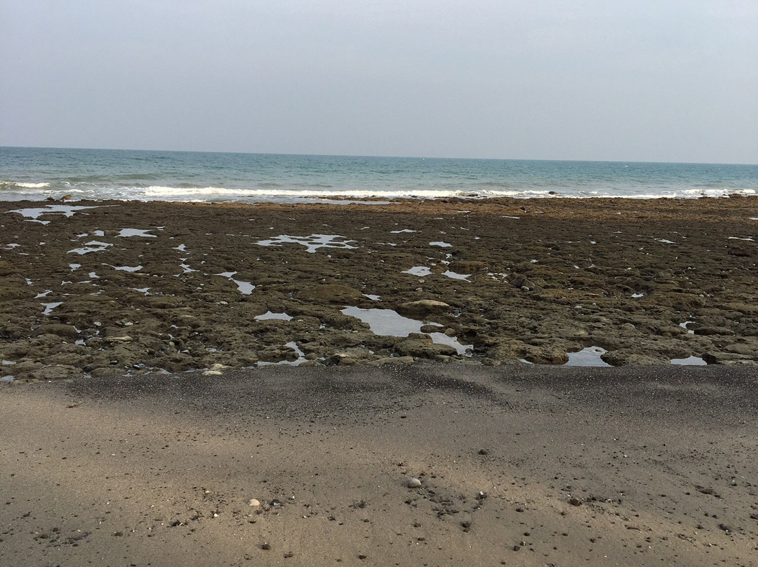 Amkunj Beach景点图片