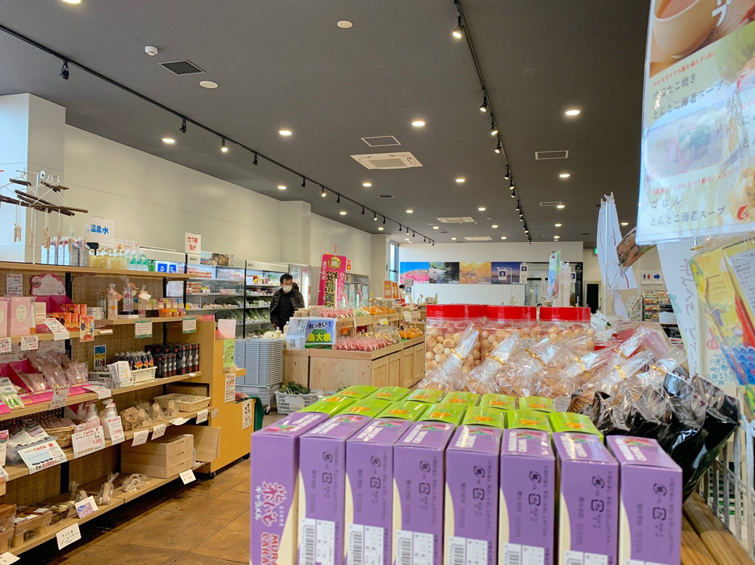 Michi no Eki Tarumizuhamabira-垂水市必去景点