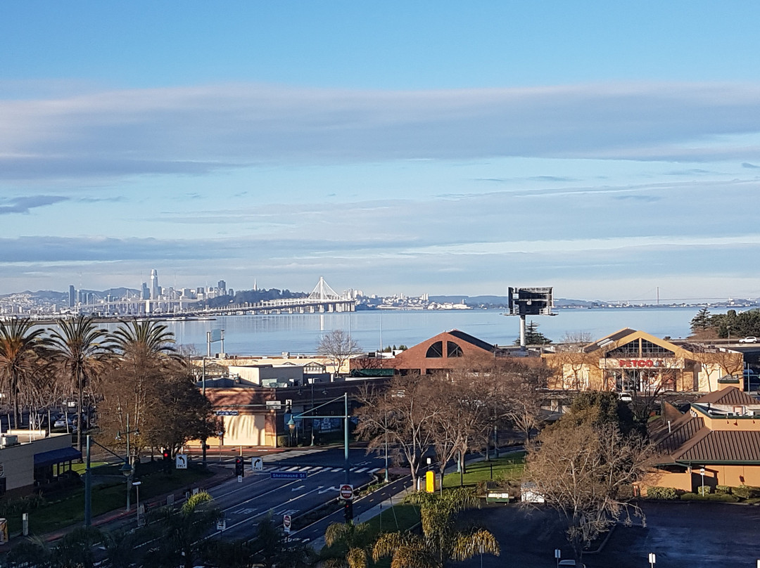 凯悦艾莫利维尔旧金山湾区域酒店主图