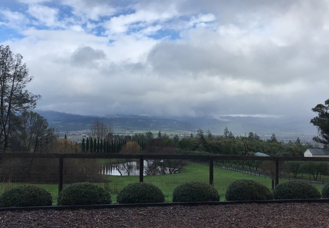 Long Meadow Ranch Winery景点图片