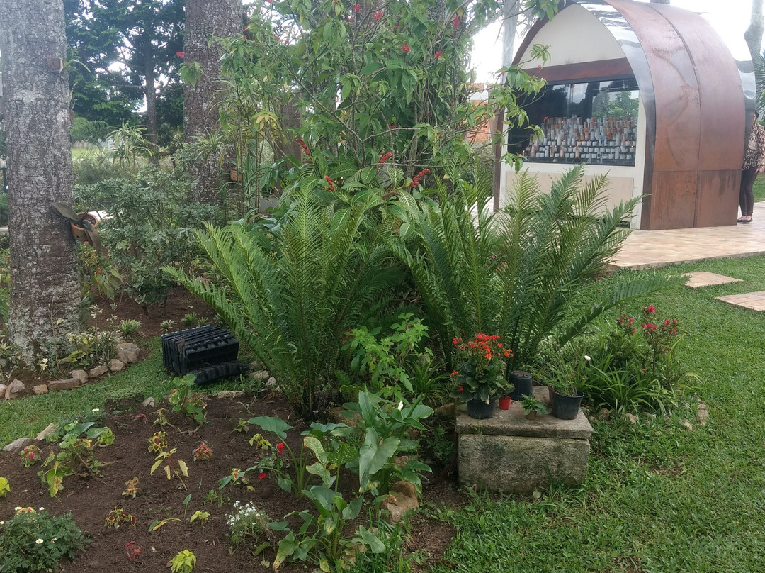 Santuário Tabor Magnificat-库里提巴必去景点