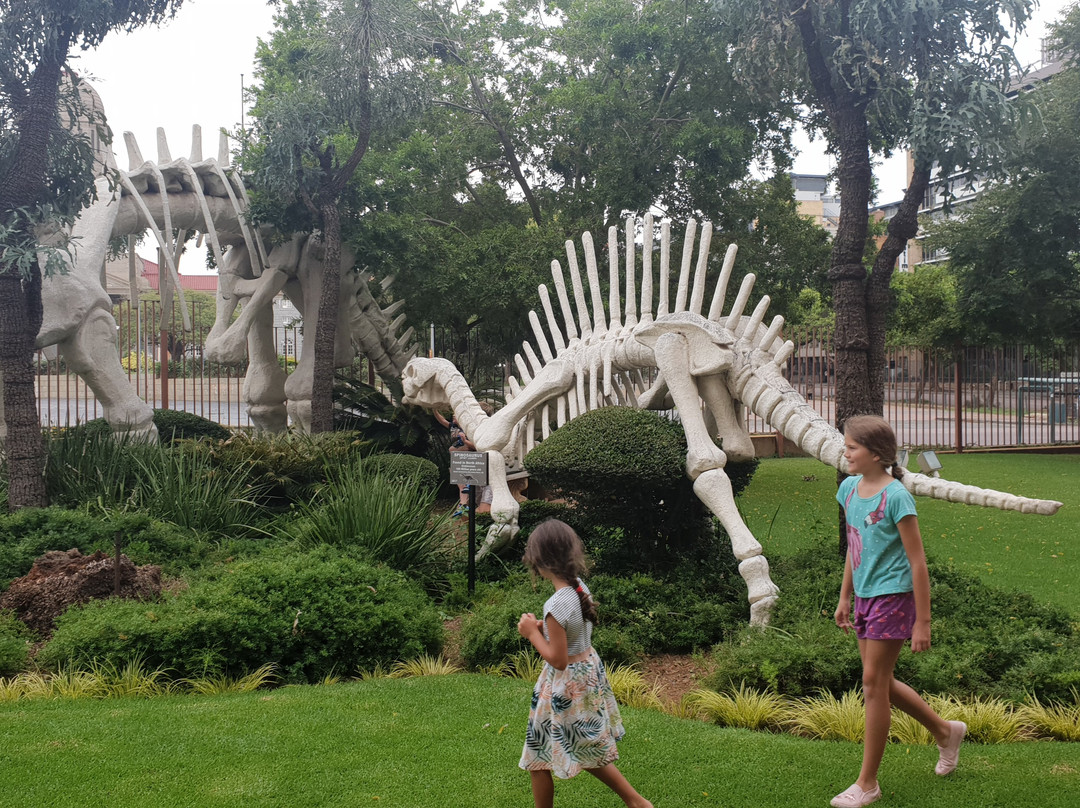 Museum of Natural History-比勒陀利亚必去景点