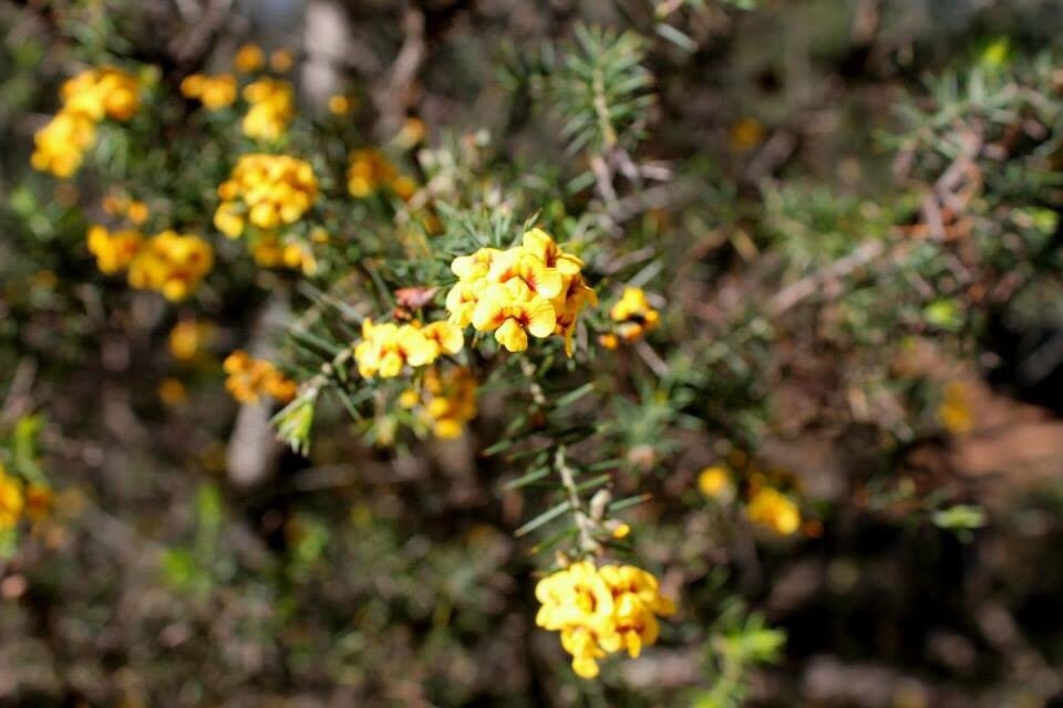 Benambra National Park-Culcairn必去景点