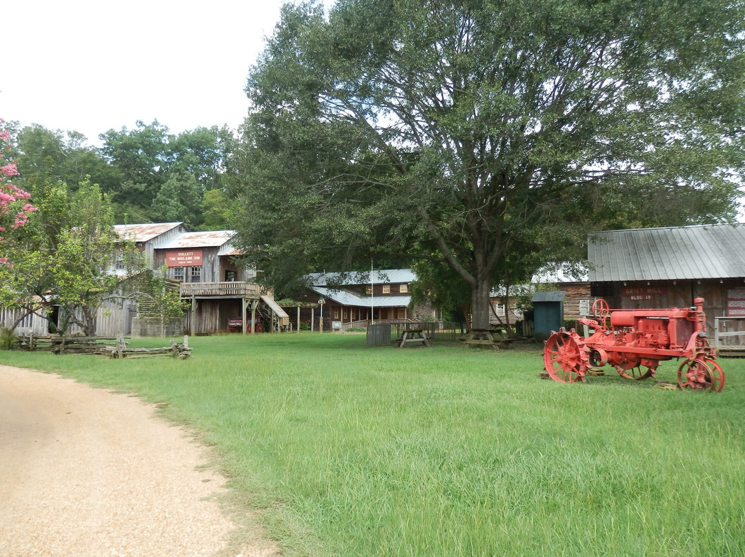 Mississippi Agricultural & Forestry Museum景点图片