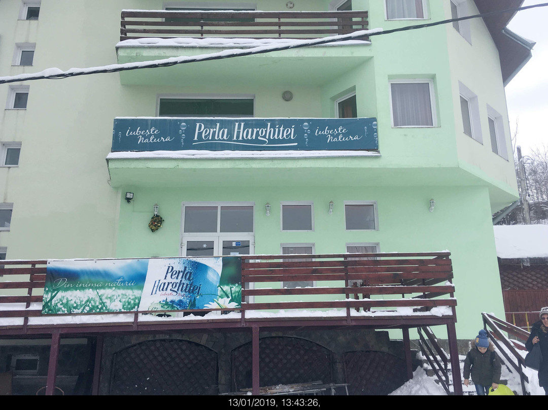 Pensiunea Toledo主图