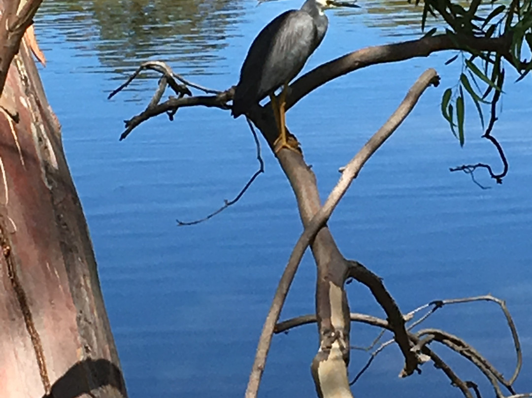 Tomato Lake-Kewdale必去景点