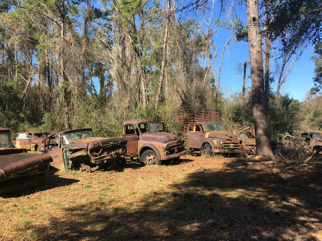Roadside Rusted Ford Trucks-Crawfordville必去景点