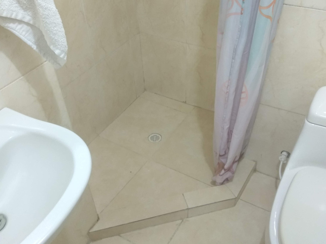 Hotel Amazonas Real主图