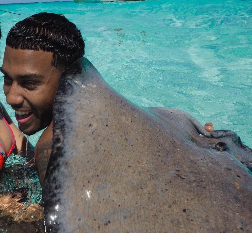 Stingray City Cayman Islands, Ltd.景点图片