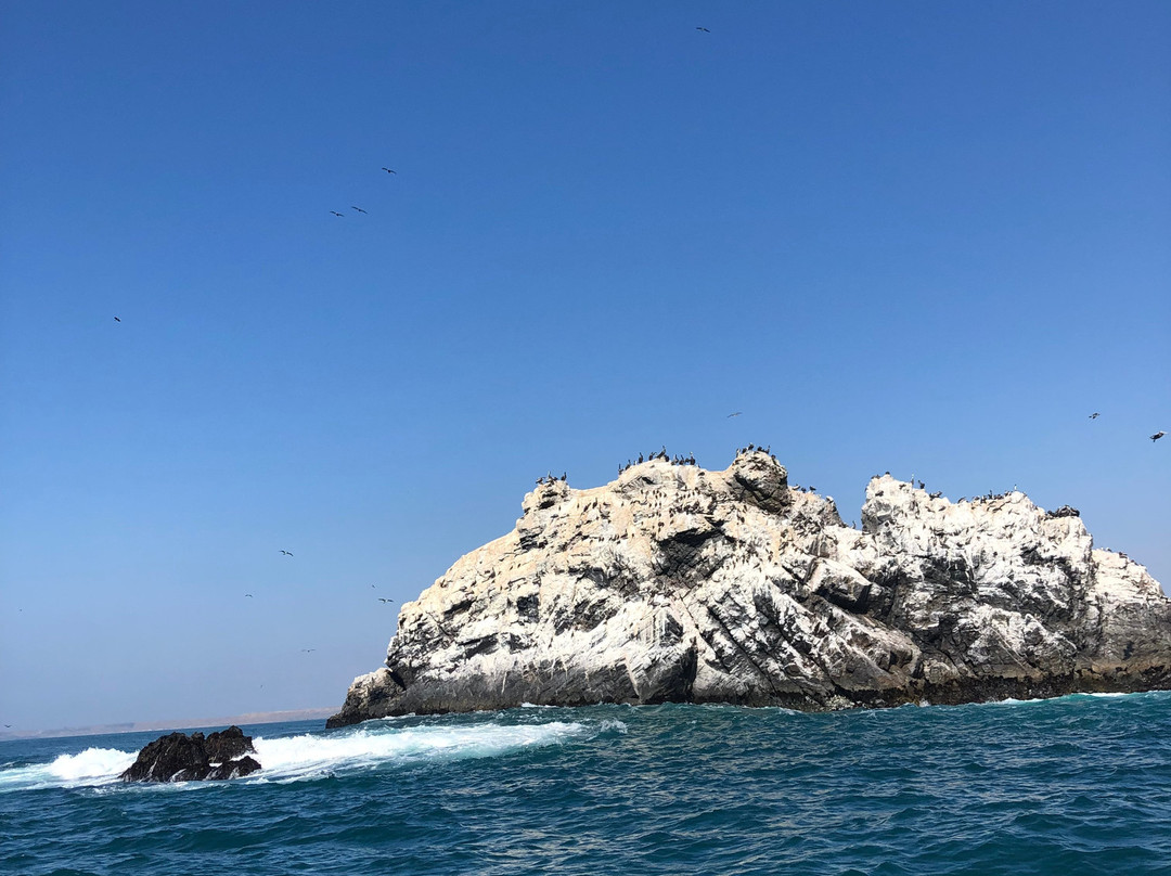 Isla Foca-Piura必去景点