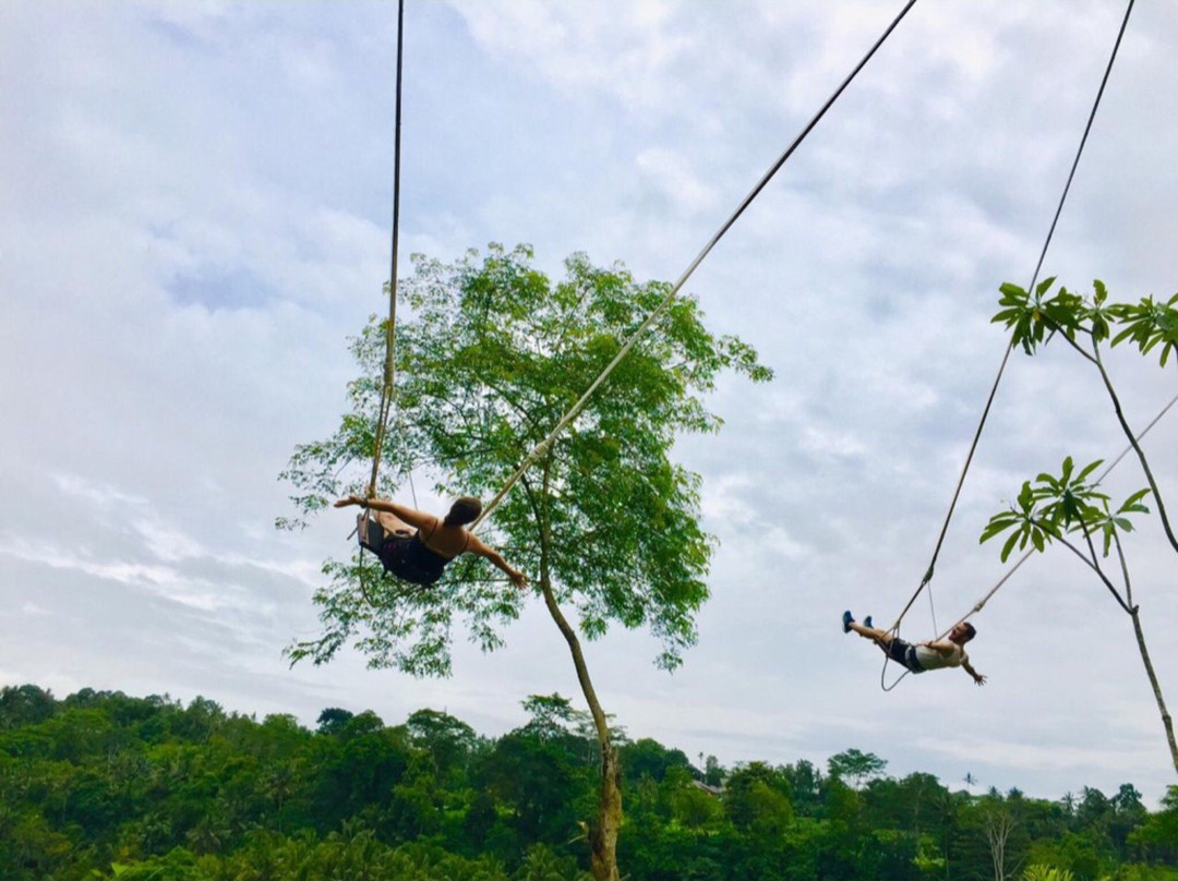 My Swing Bali景点图片