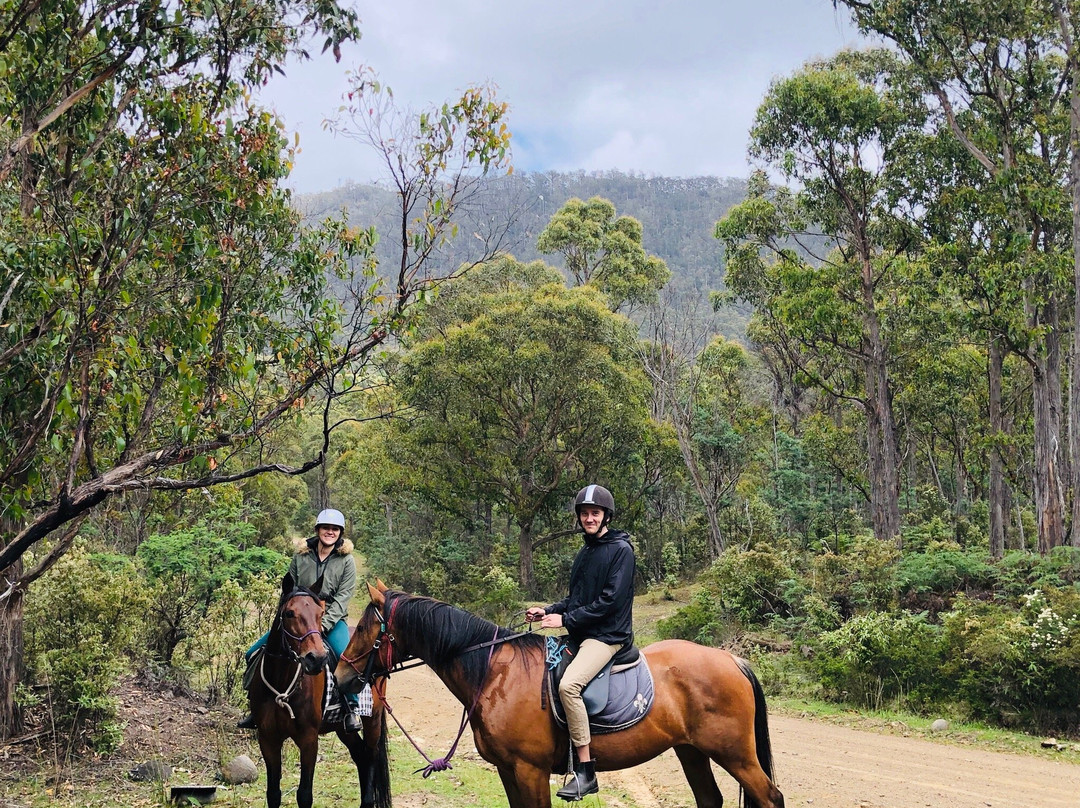 Horse Riding Tasmania景点图片
