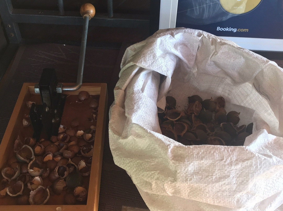 Hawaii Island Resort主图