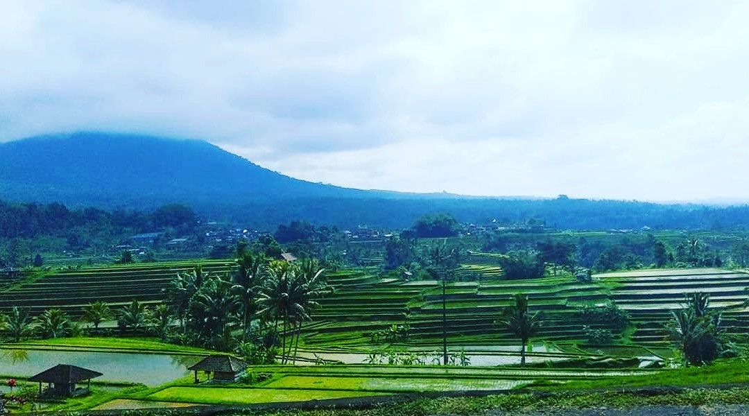 Good Bali Tour-沙努尔必去景点