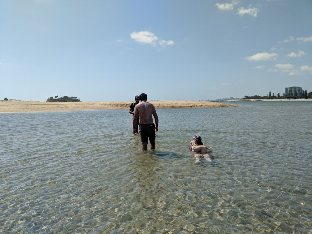 North Shore Dog Beach景点图片