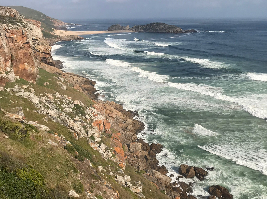 Harkerville Mountain Bike Trails-哈克城必去景点