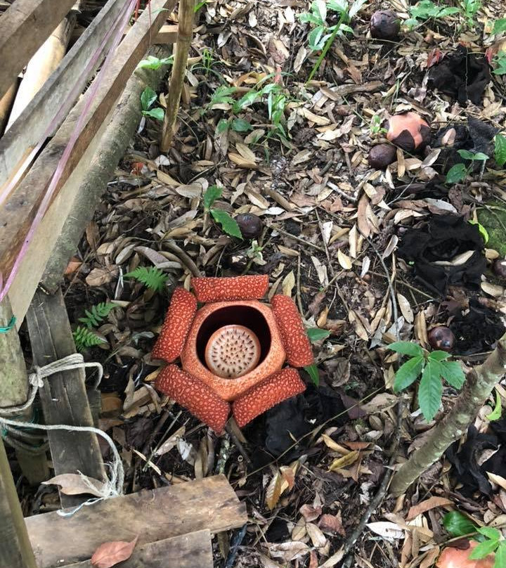 Arnab Village-拉瑙必去景点