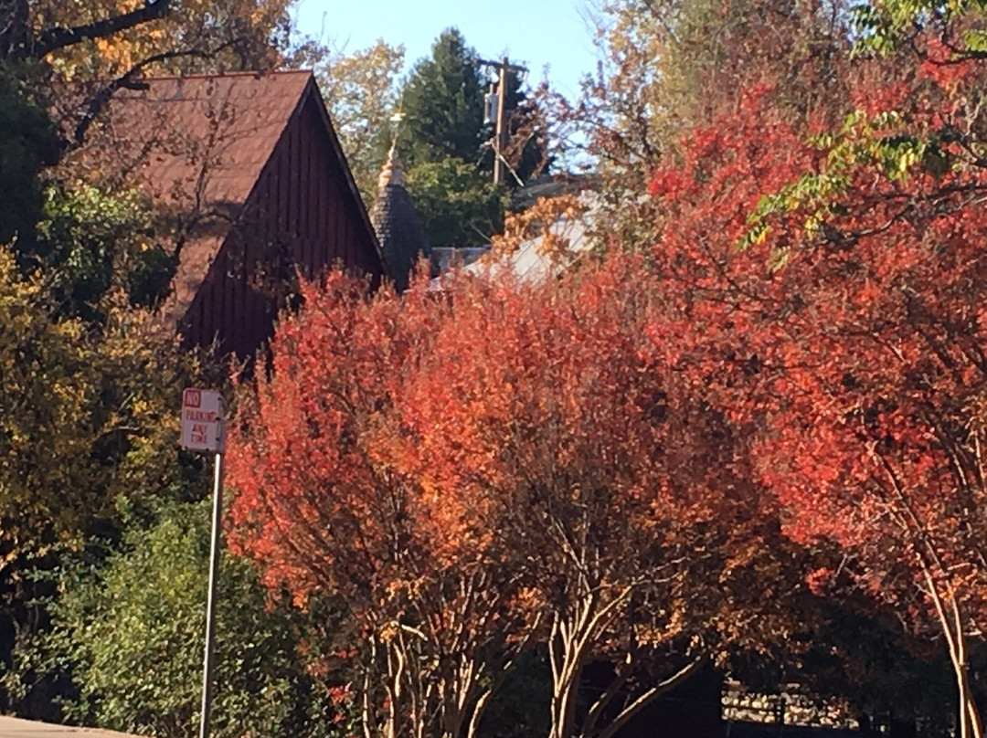 Railtown 1897 State History Park景点图片