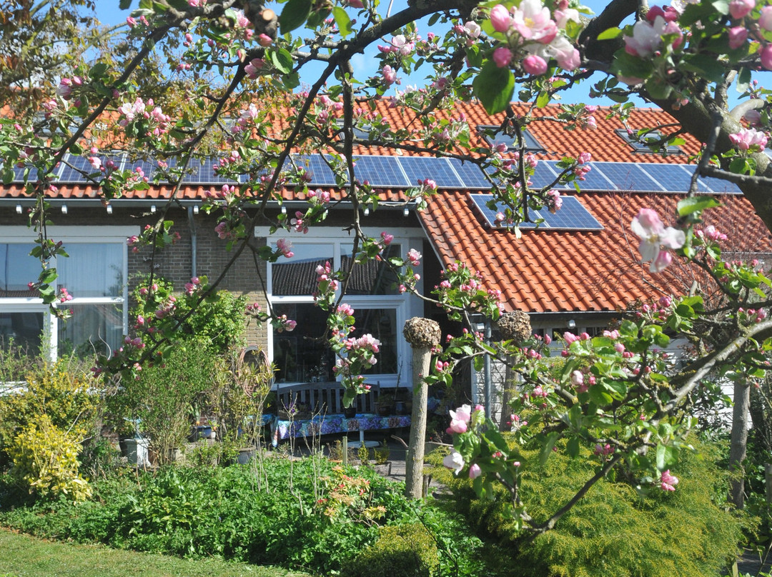 bed and breakfast Uitwijk主图