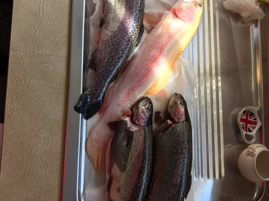 Alpine Trout Farm-Noojee必去景点