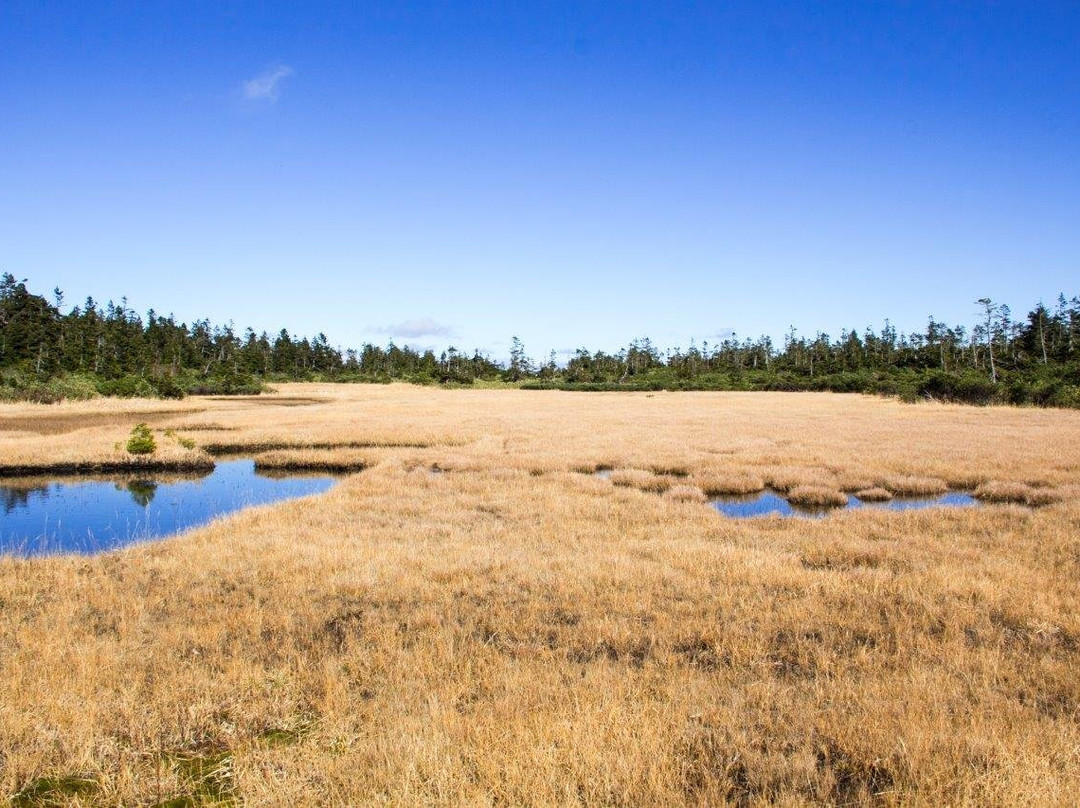 Kuroyachi Wetland景点图片