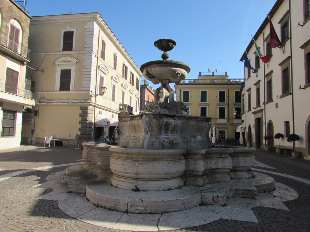 Fontana dei Delfini景点图片