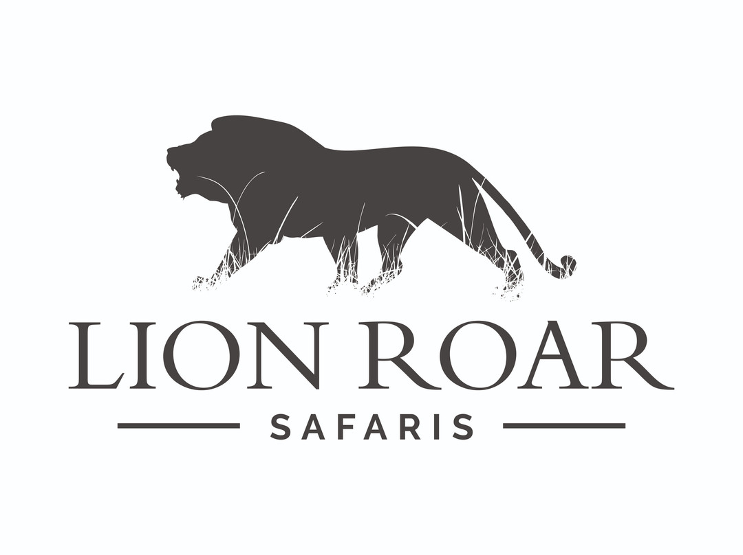 Lion Roar Safaris-尼斯普鲁特必去景点
