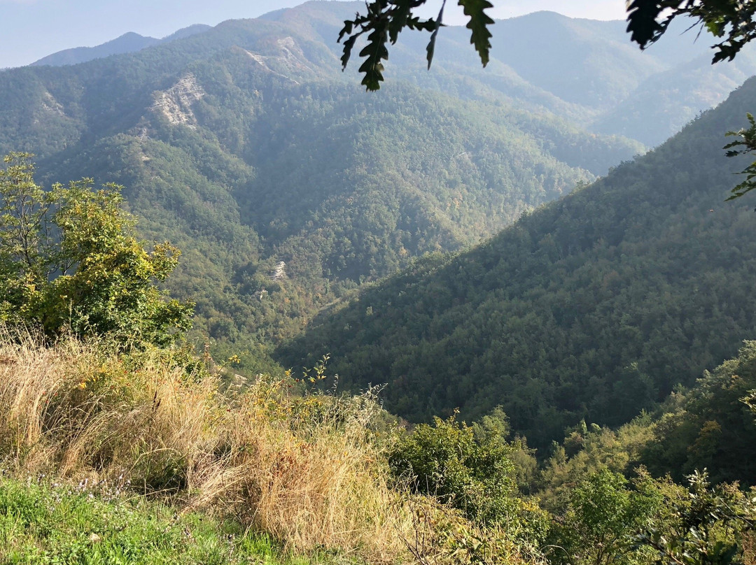 Eremo di Gamogna-Marradi必去景点