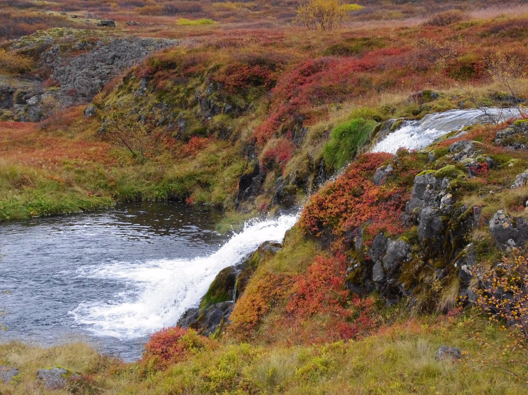 Westfjords Adventures景点图片
